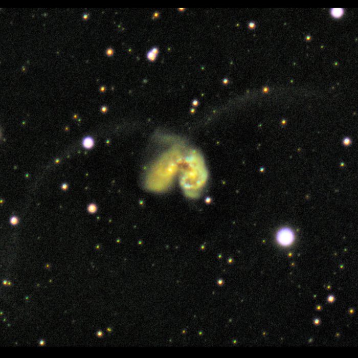 Name: Ross GerrandInstagram: N/A Camera: ASI 183MCTelescope: ED80Subject: Colliding Galaxys Photo Taken: N/A Image Duration:N/A Software: NiniFilters used: Lextreme Photo Information: