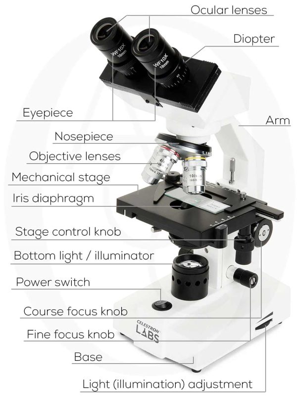 binocular-microscope-compound